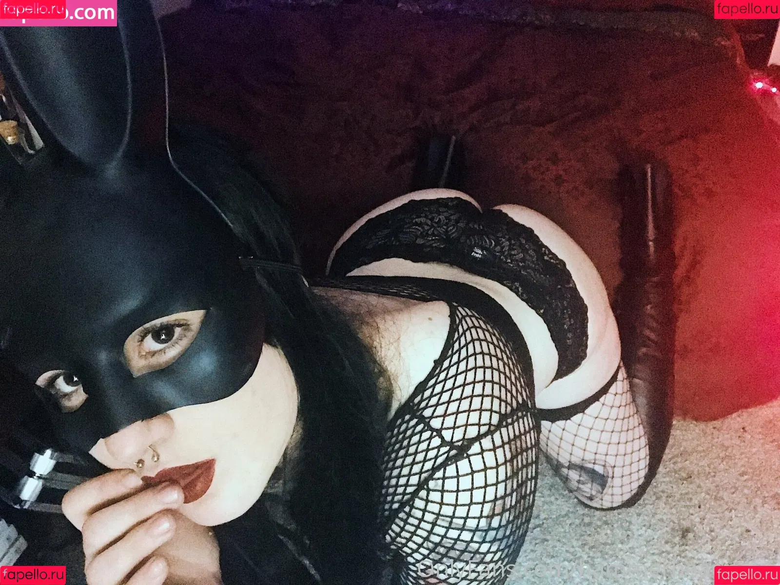 hammerheadneko Onlyfans Photo Gallery 