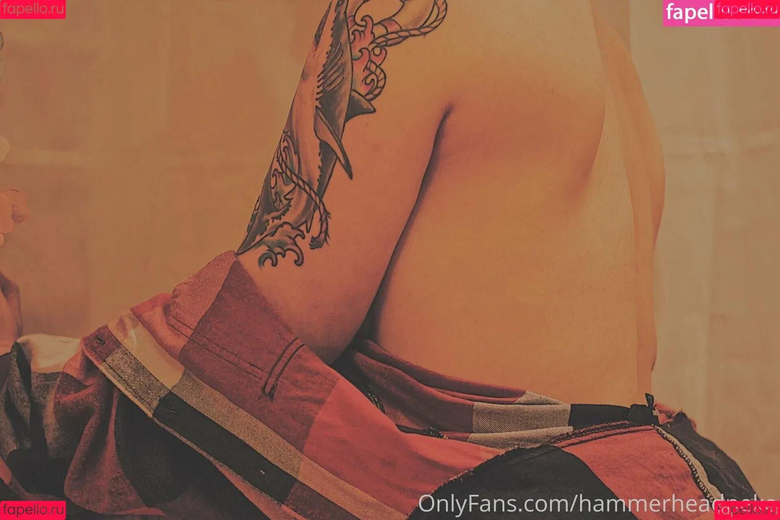 hammerheadneko Onlyfans Photo Gallery 