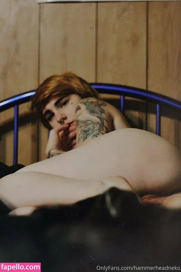 hammerheadneko Onlyfans Photo Gallery 