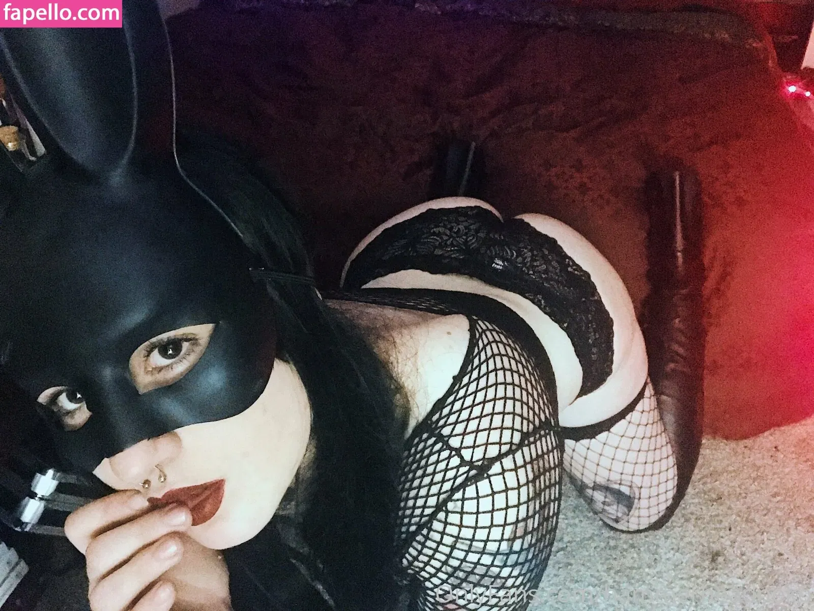 hammerheadneko Onlyfans Photo Gallery 