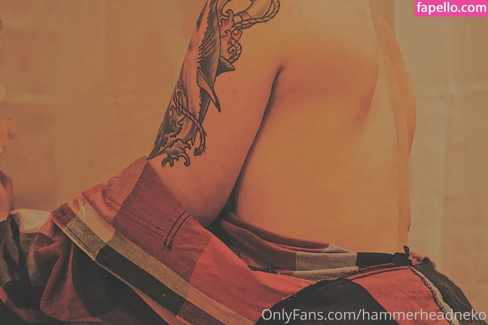 hammerheadneko Onlyfans Photo Gallery 