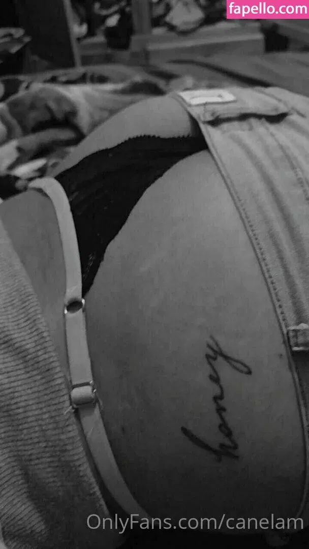 canelam Onlyfans Photo Gallery 