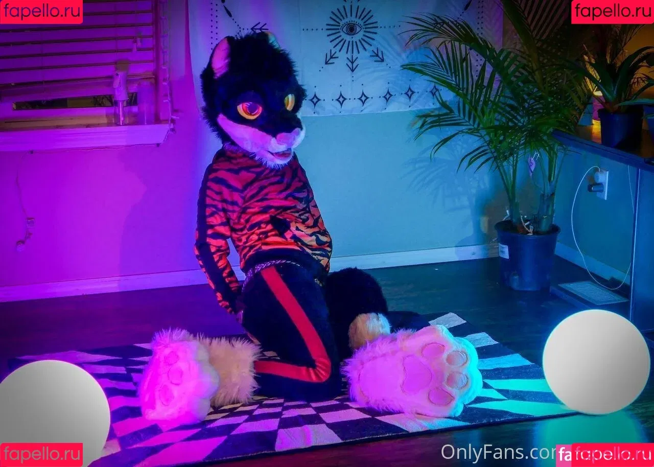 yiffykitty Onlyfans Photo Gallery 
