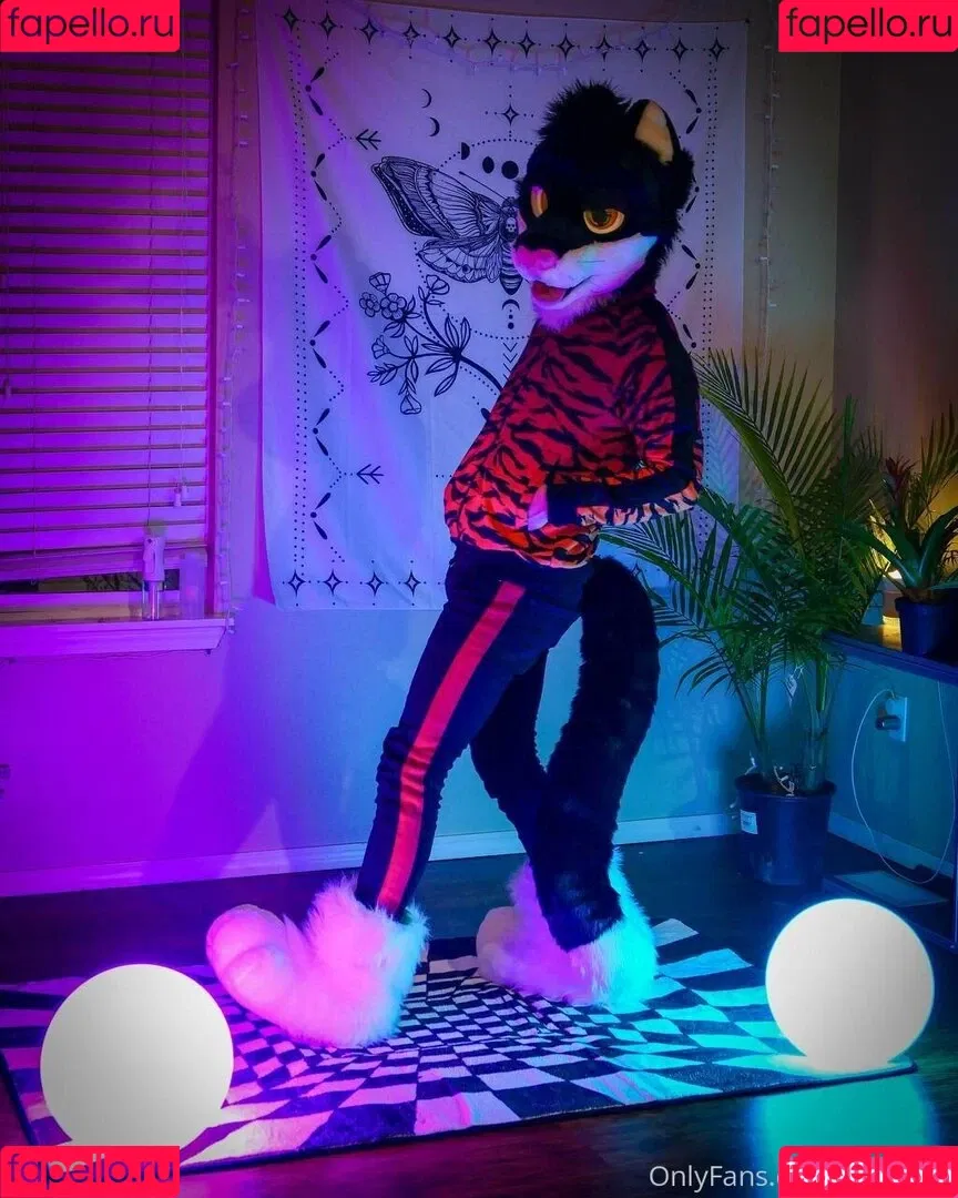 yiffykitty Onlyfans Photo Gallery 