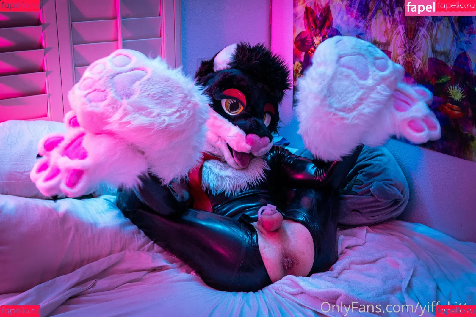 yiffykitty Onlyfans Photo Gallery 