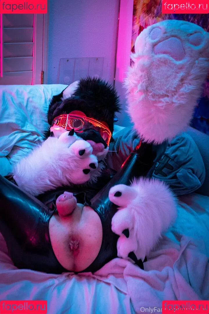 yiffykitty Onlyfans Photo Gallery 
