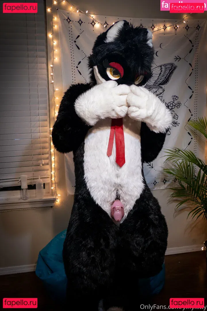 yiffykitty Onlyfans Photo Gallery 