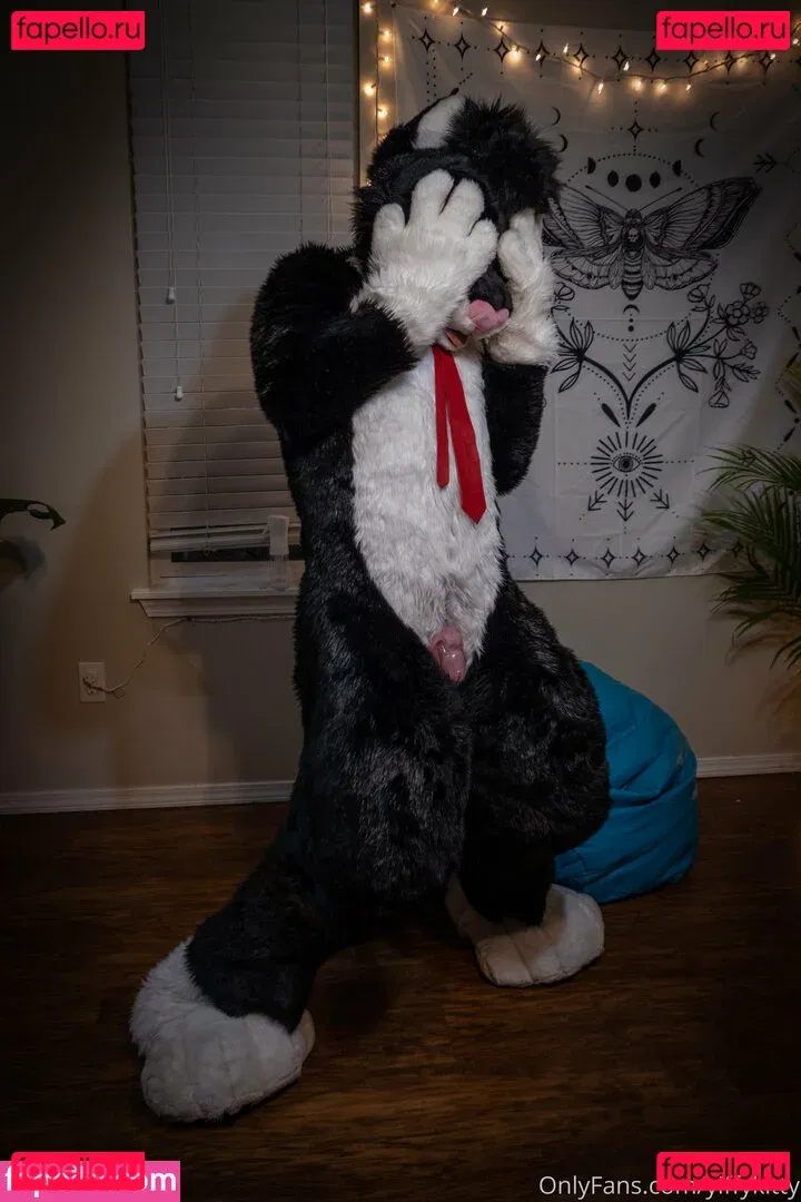 yiffykitty Onlyfans Photo Gallery 