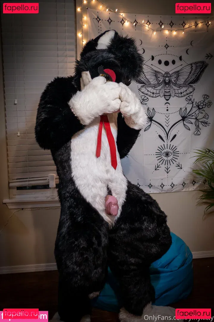 yiffykitty Onlyfans Photo Gallery 