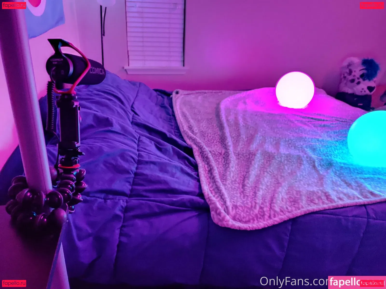 yiffykitty Onlyfans Photo Gallery 