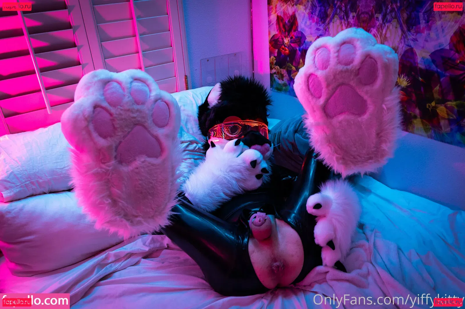 yiffykitty Onlyfans Photo Gallery 