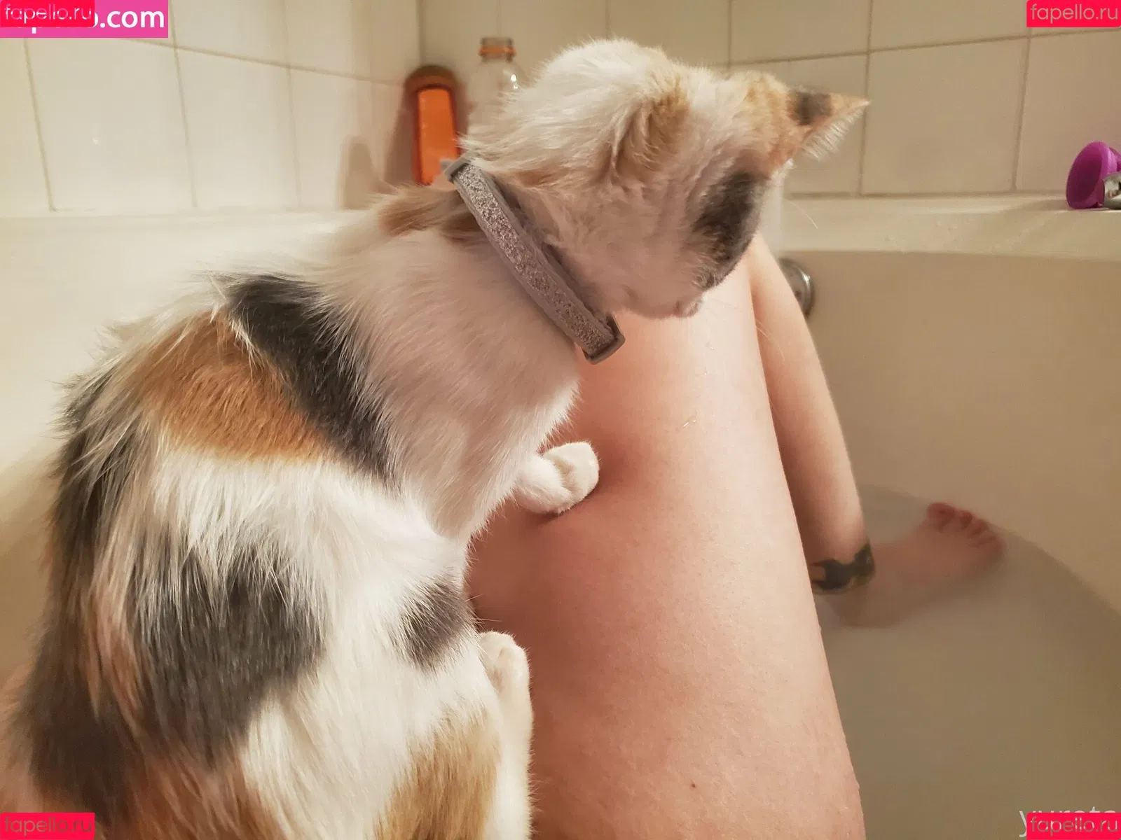 Yureta Onlyfans Photo Gallery 