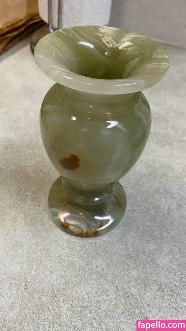 vixenshelbyfree Onlyfans Photo Gallery 