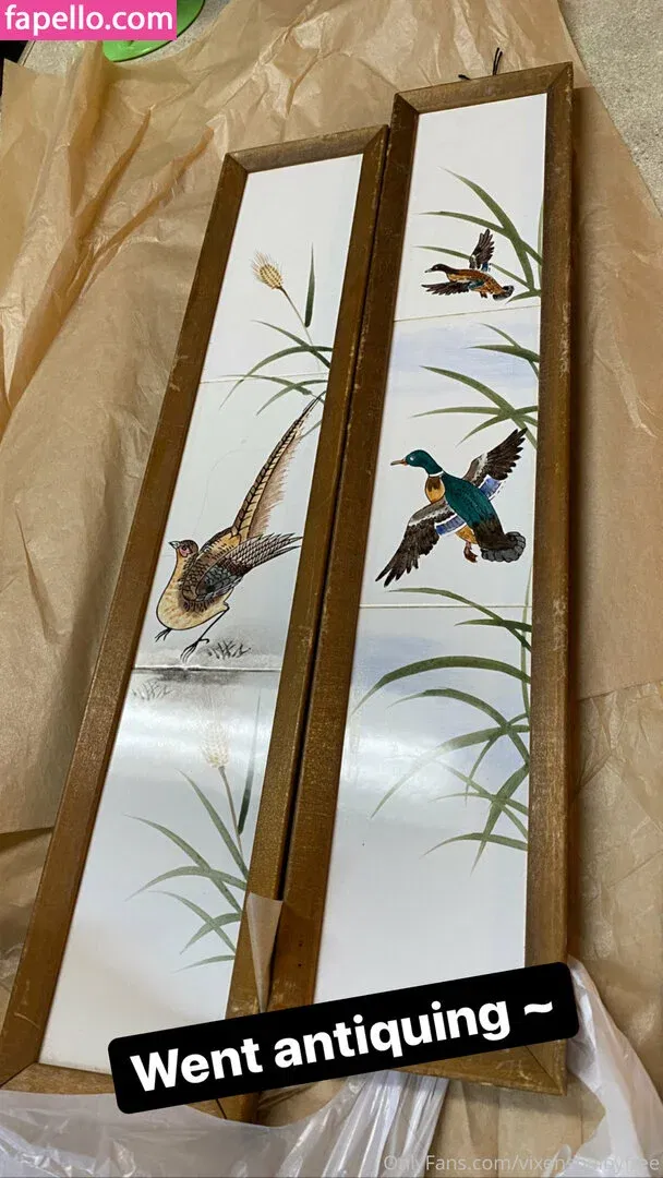 vixenshelbyfree Onlyfans Photo Gallery 