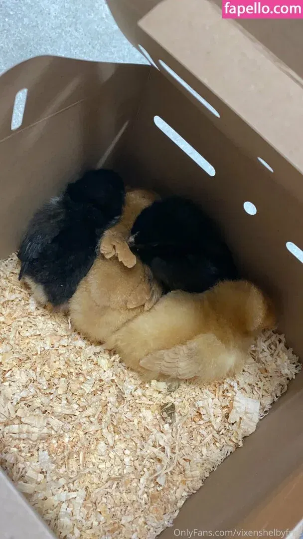 vixenshelbyfree Onlyfans Photo Gallery 