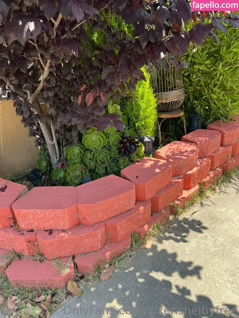 vixenshelbyfree Onlyfans Photo Gallery 