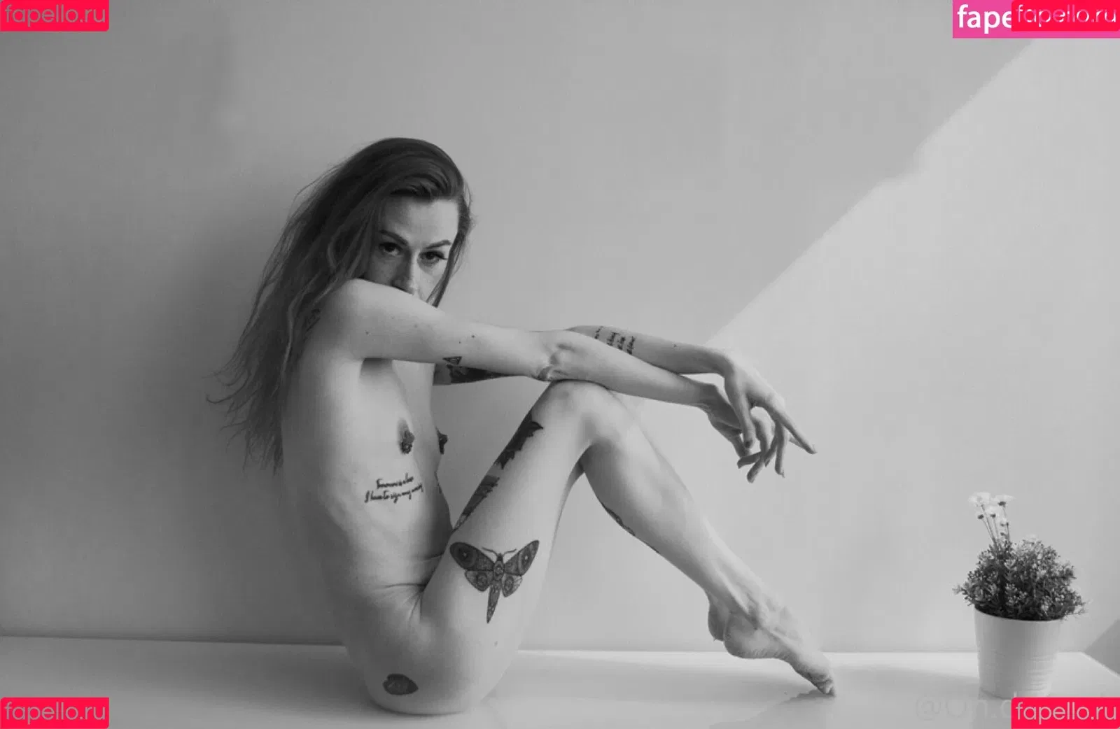 Ondreeah Onlyfans Photo Gallery 