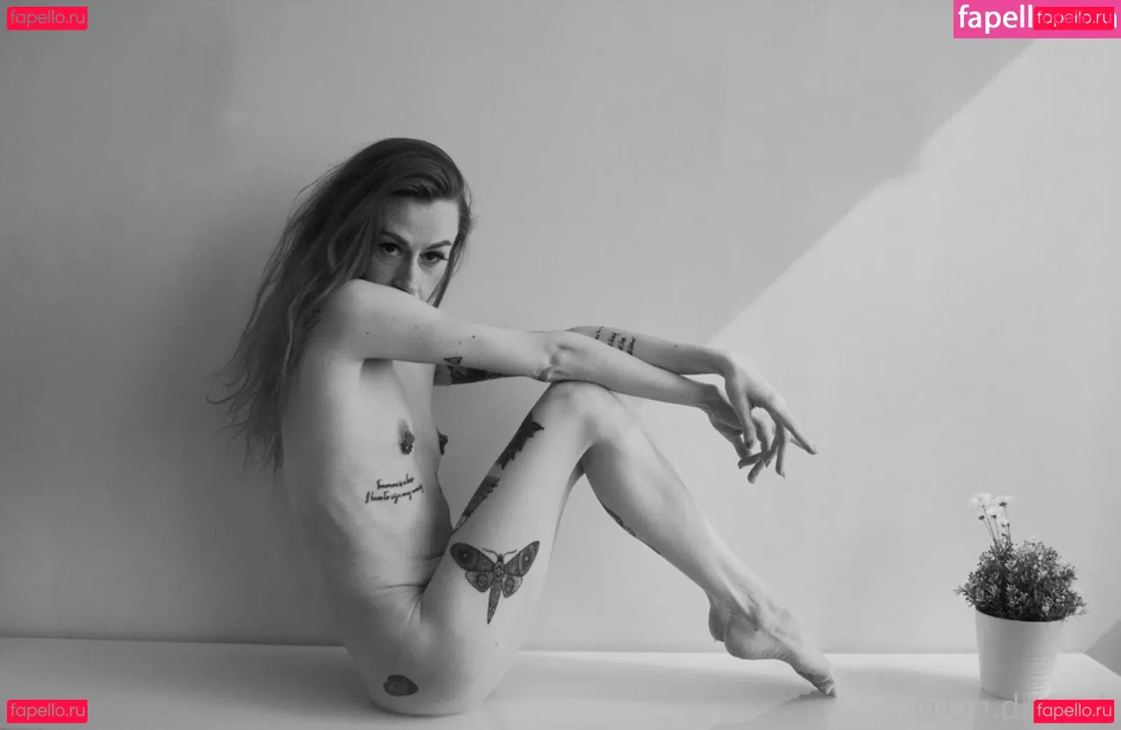 Ondreeah Onlyfans Photo Gallery 