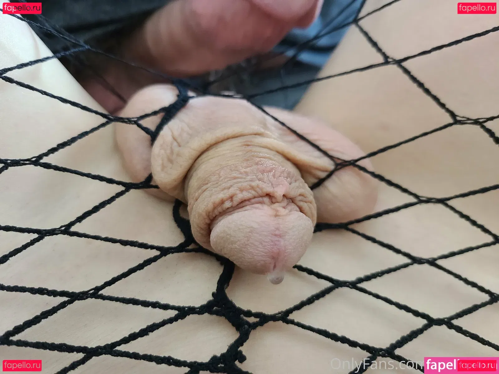 kitty-lynn Onlyfans Photo Gallery 