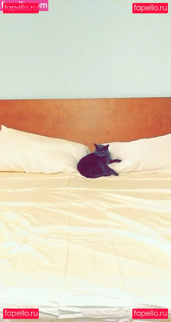 kissinghigh Onlyfans Photo Gallery 