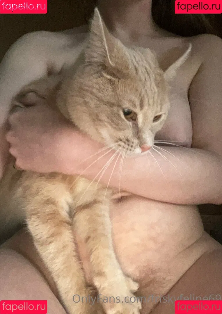 friskyfeline69 Onlyfans Photo Gallery 