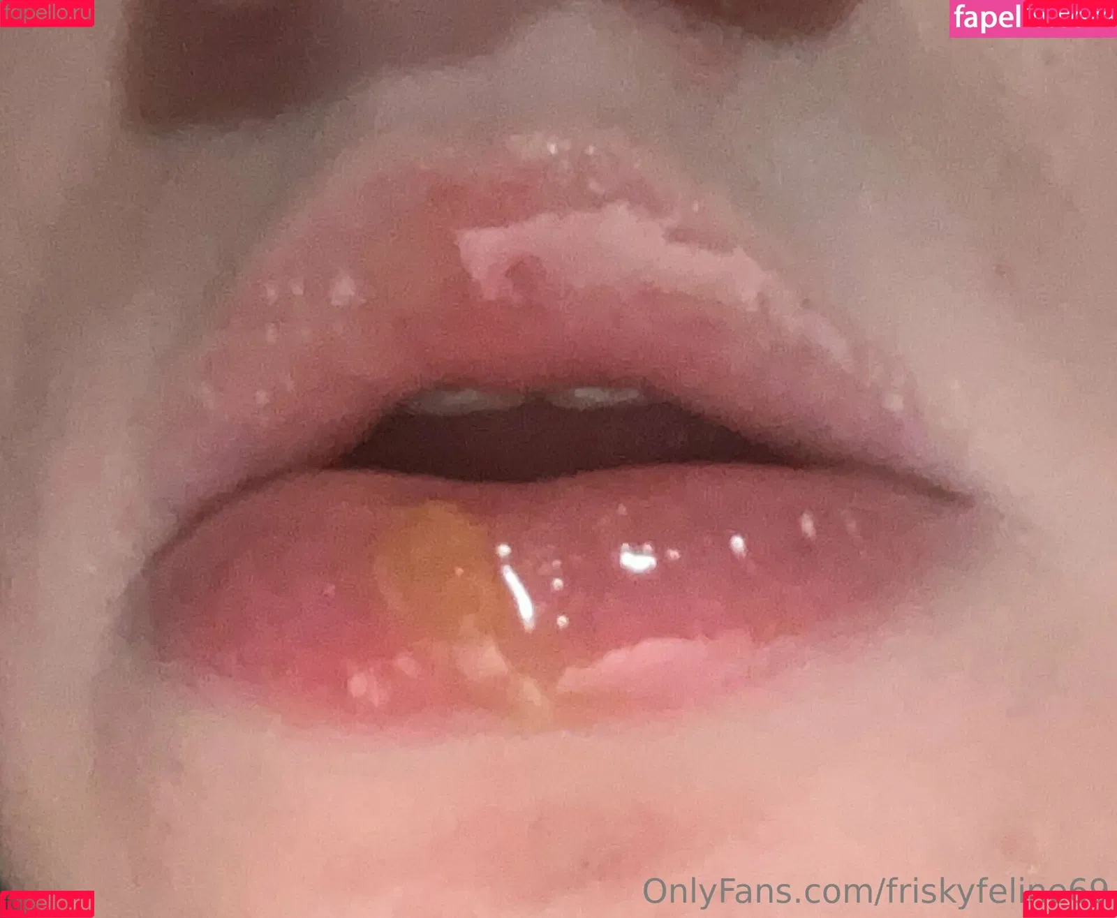 friskyfeline69 Onlyfans Photo Gallery 