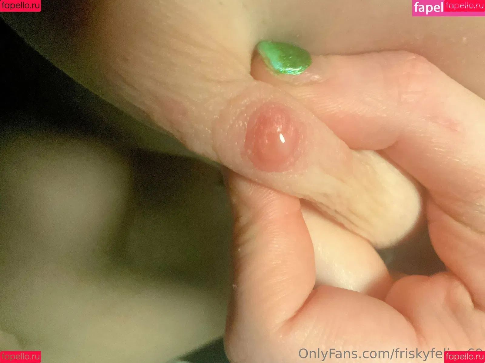 friskyfeline69 Onlyfans Photo Gallery 