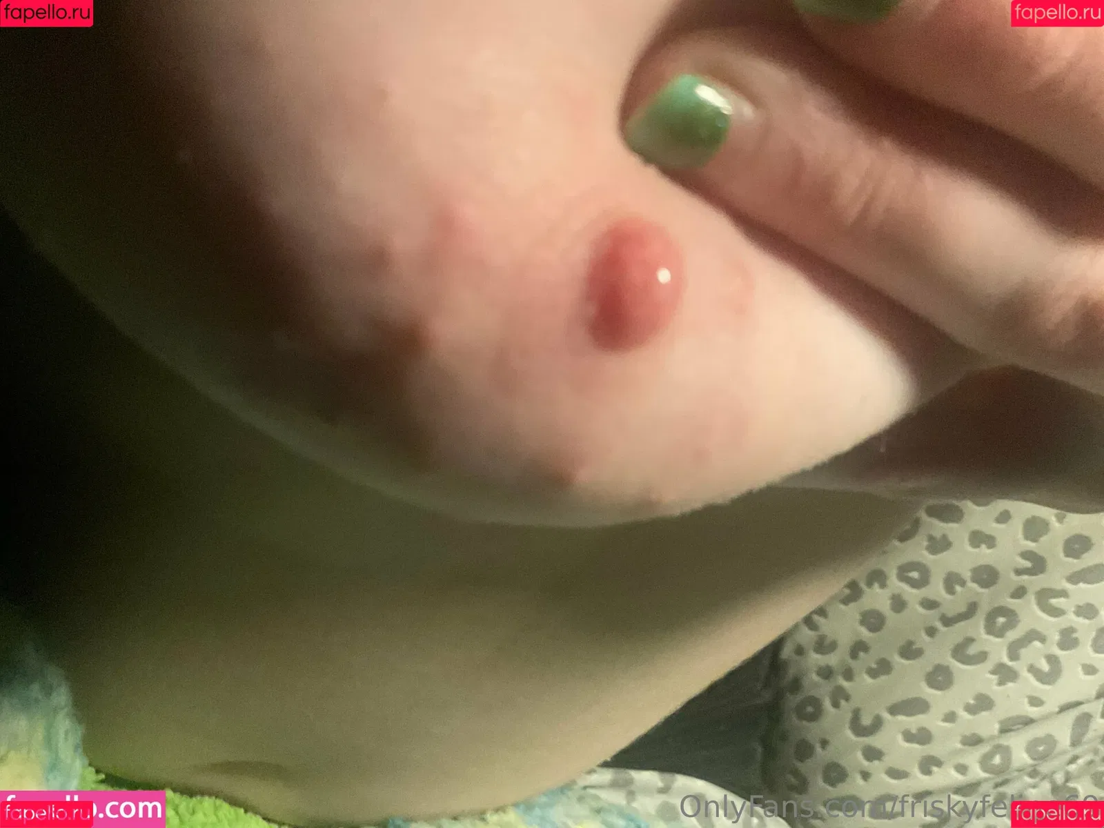 friskyfeline69 Onlyfans Photo Gallery 