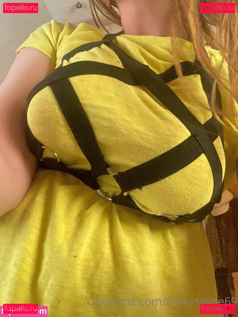 friskyfeline69 Onlyfans Photo Gallery 