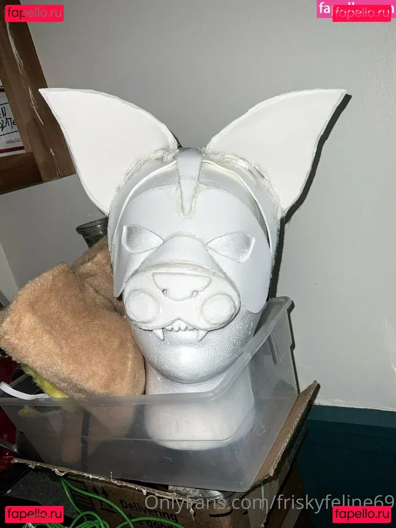 friskyfeline69 Onlyfans Photo Gallery 