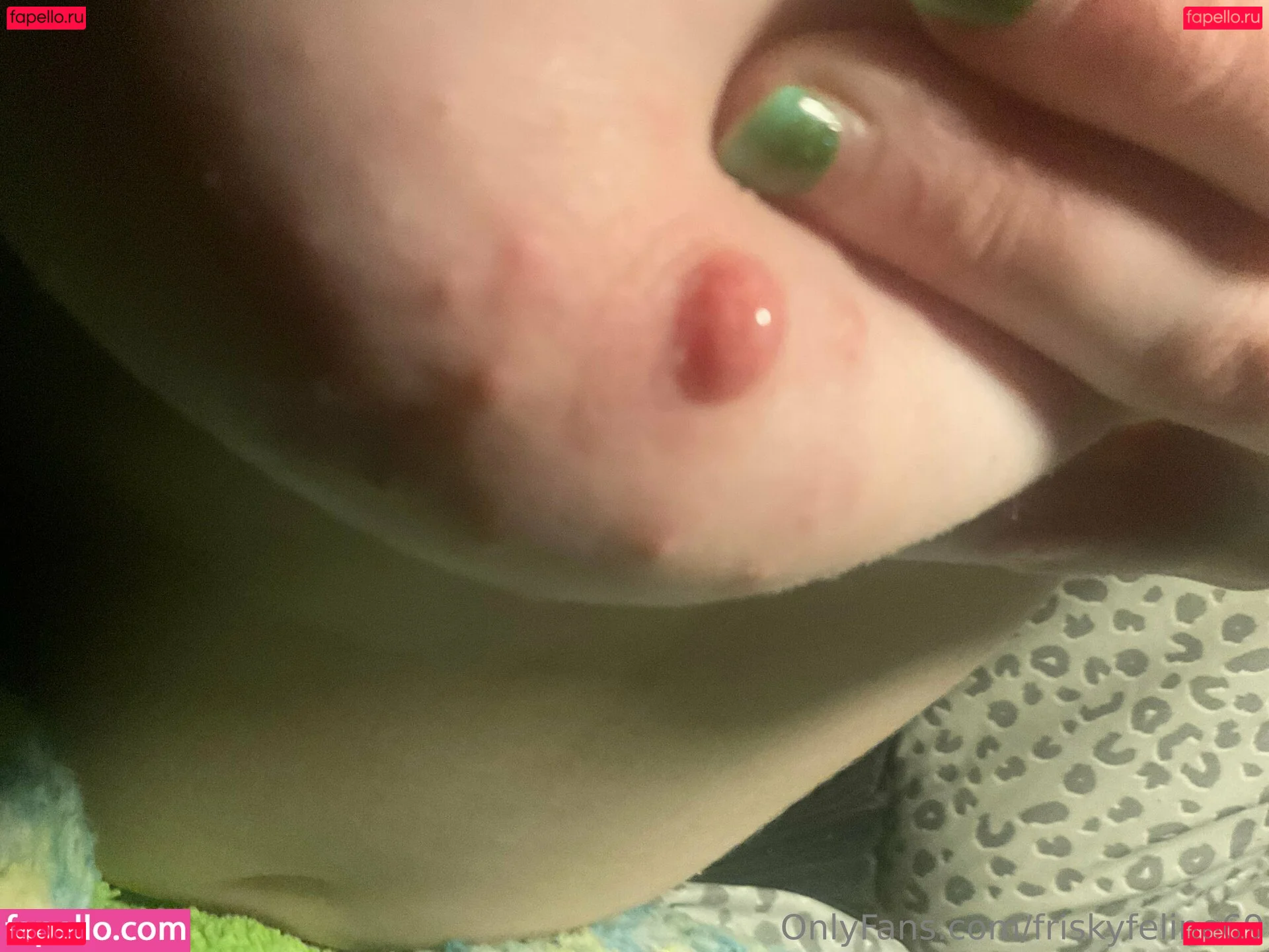 friskyfeline69 Onlyfans Photo Gallery 