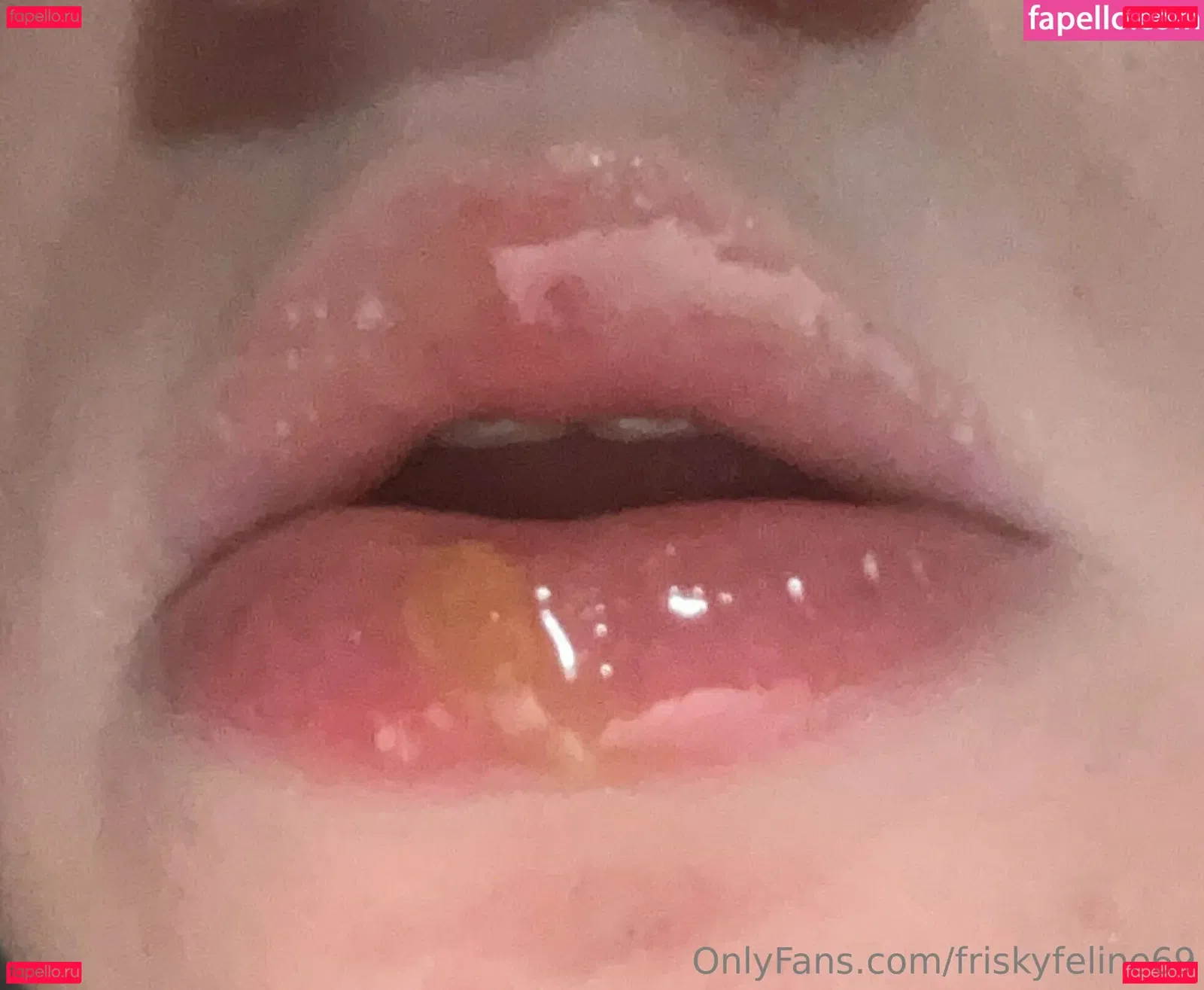 friskyfeline69 Onlyfans Photo Gallery 