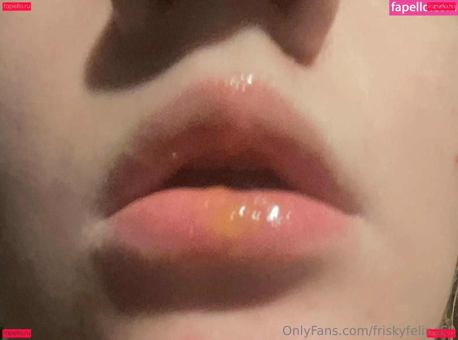 friskyfeline69 Onlyfans Photo Gallery 