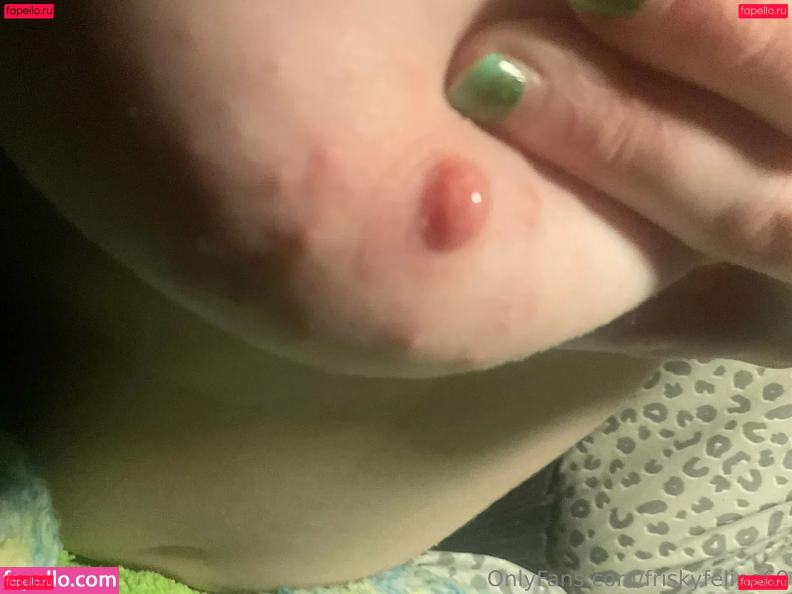 friskyfeline69 Onlyfans Photo Gallery 