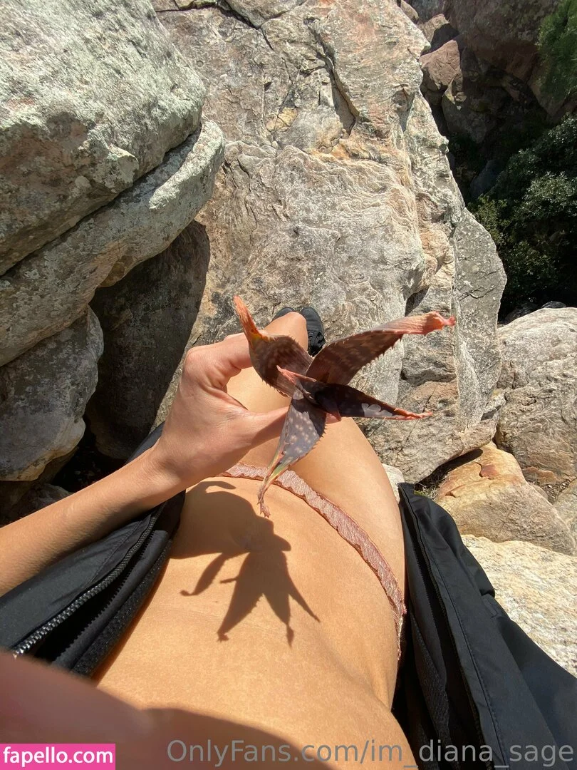 im_diana_sage Onlyfans Photo Gallery 