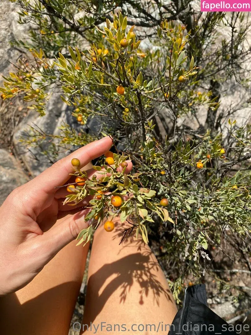 im_diana_sage Onlyfans Photo Gallery 