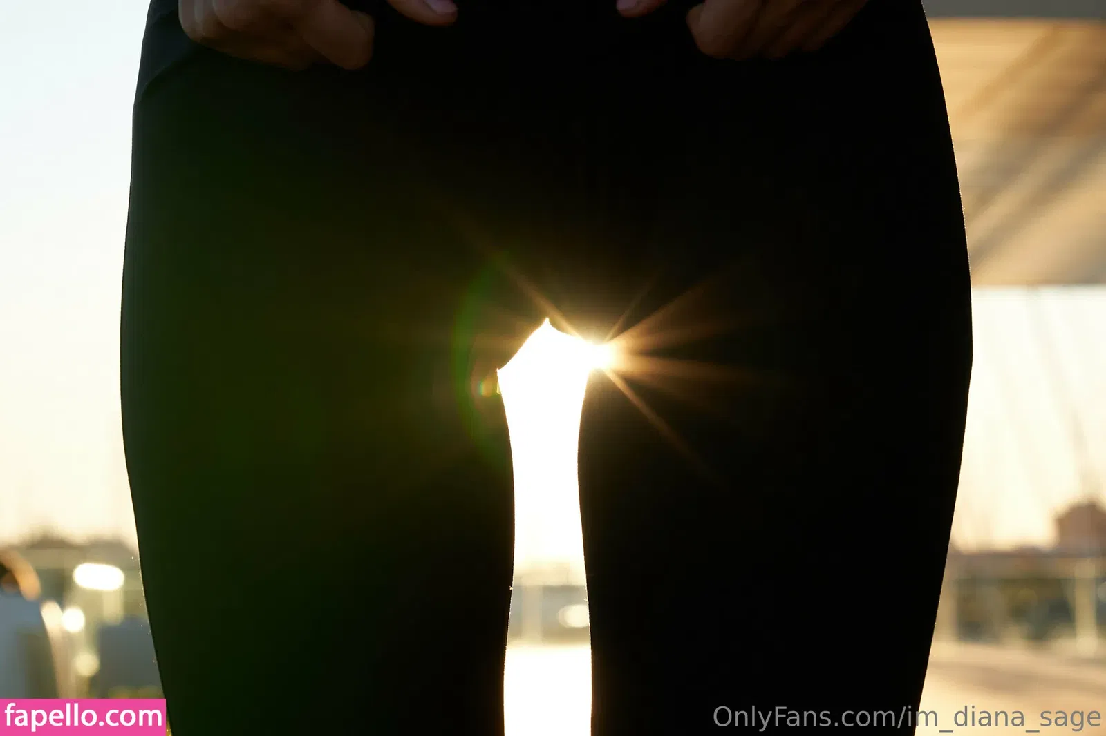 im_diana_sage Onlyfans Photo Gallery 