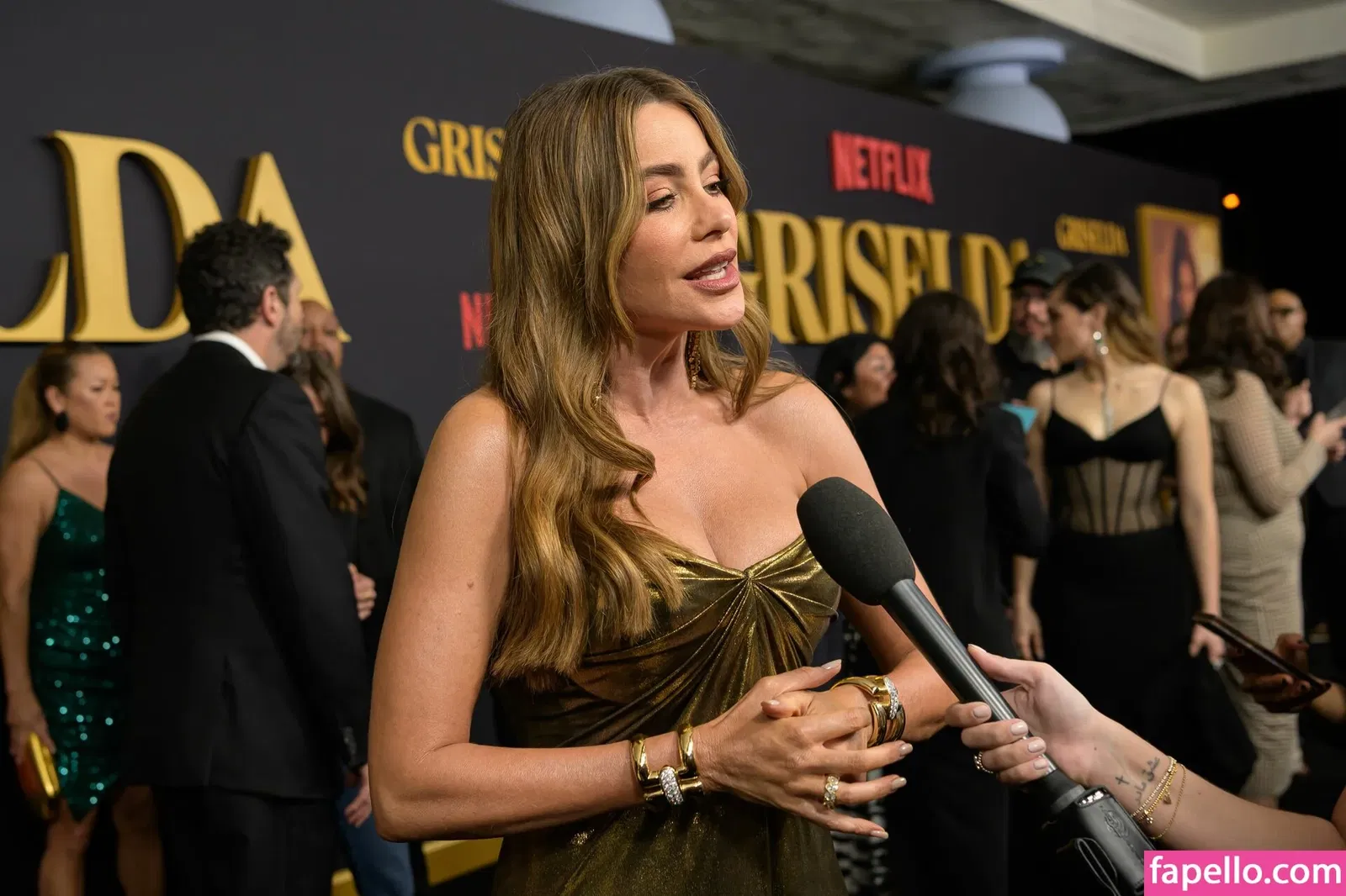 Sofia Vergara Onlyfans Photo Gallery 