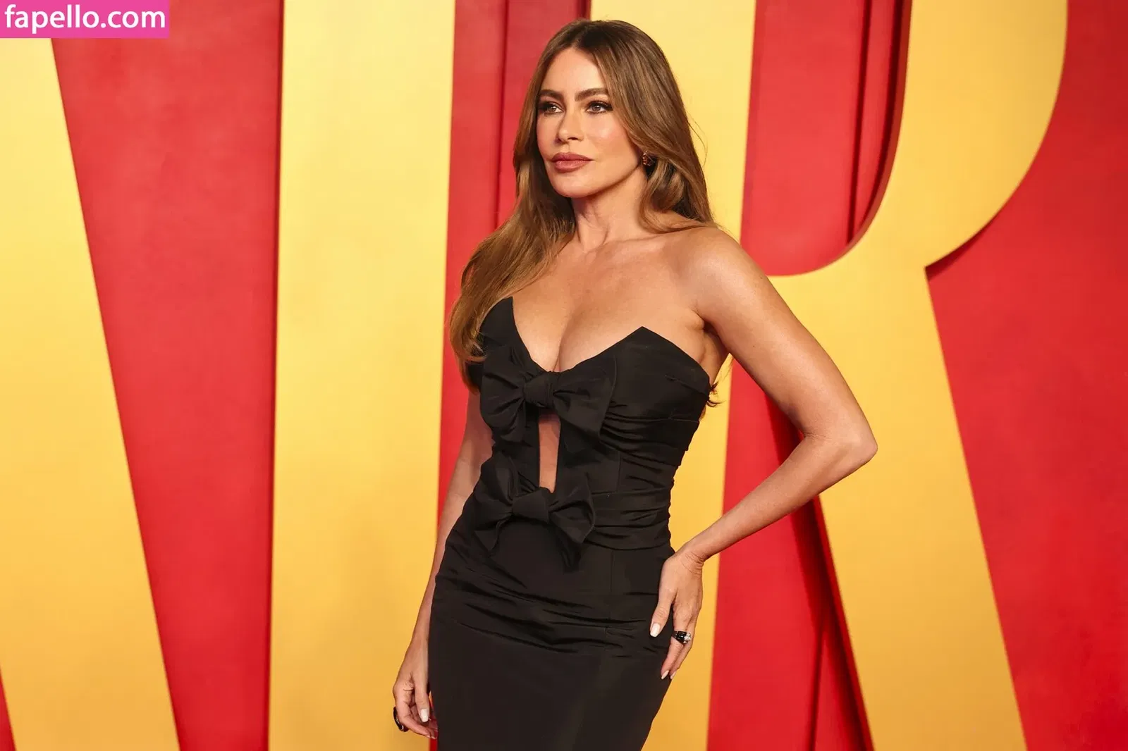 Sofia Vergara Onlyfans Photo Gallery 