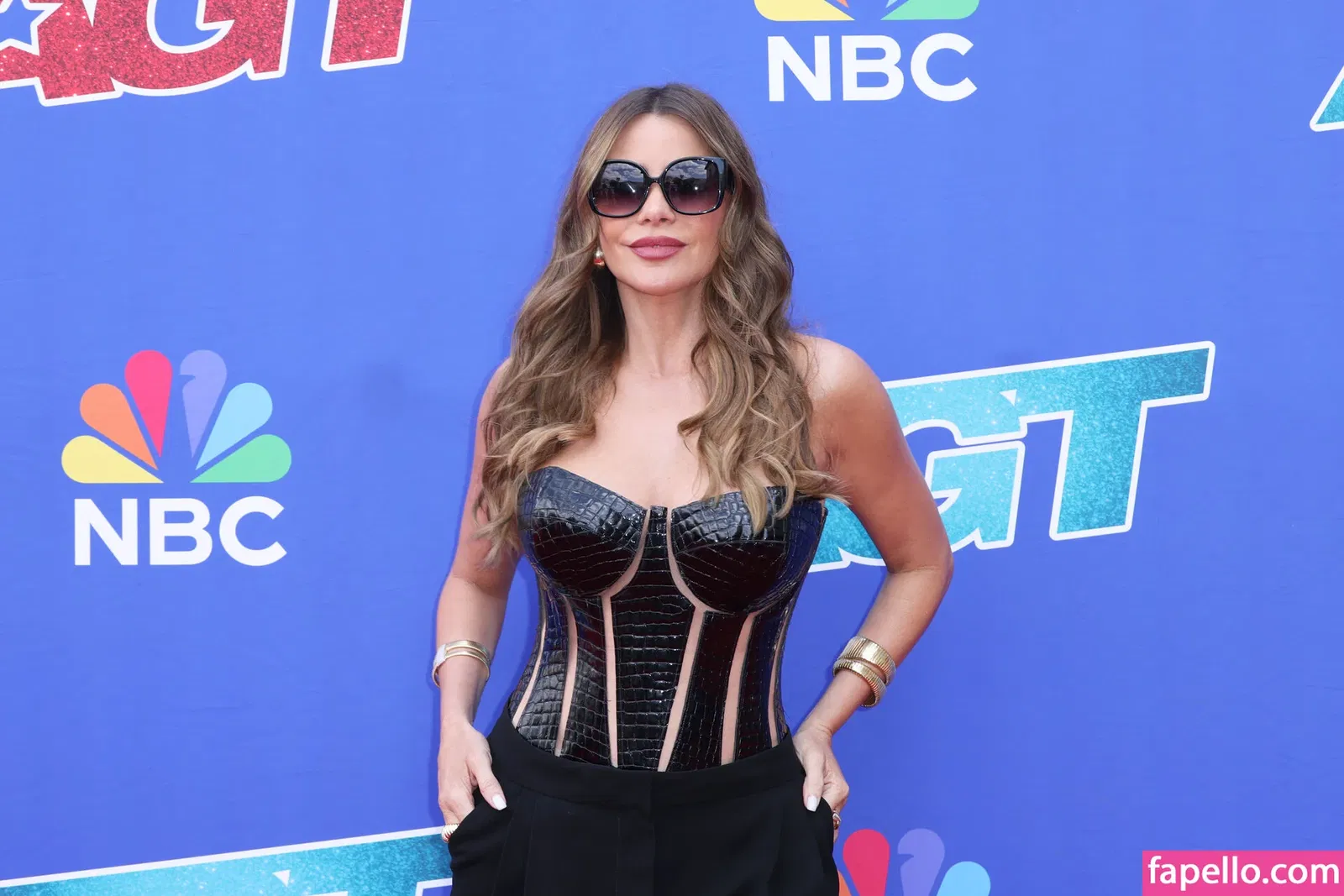 Sofia Vergara Onlyfans Photo Gallery 