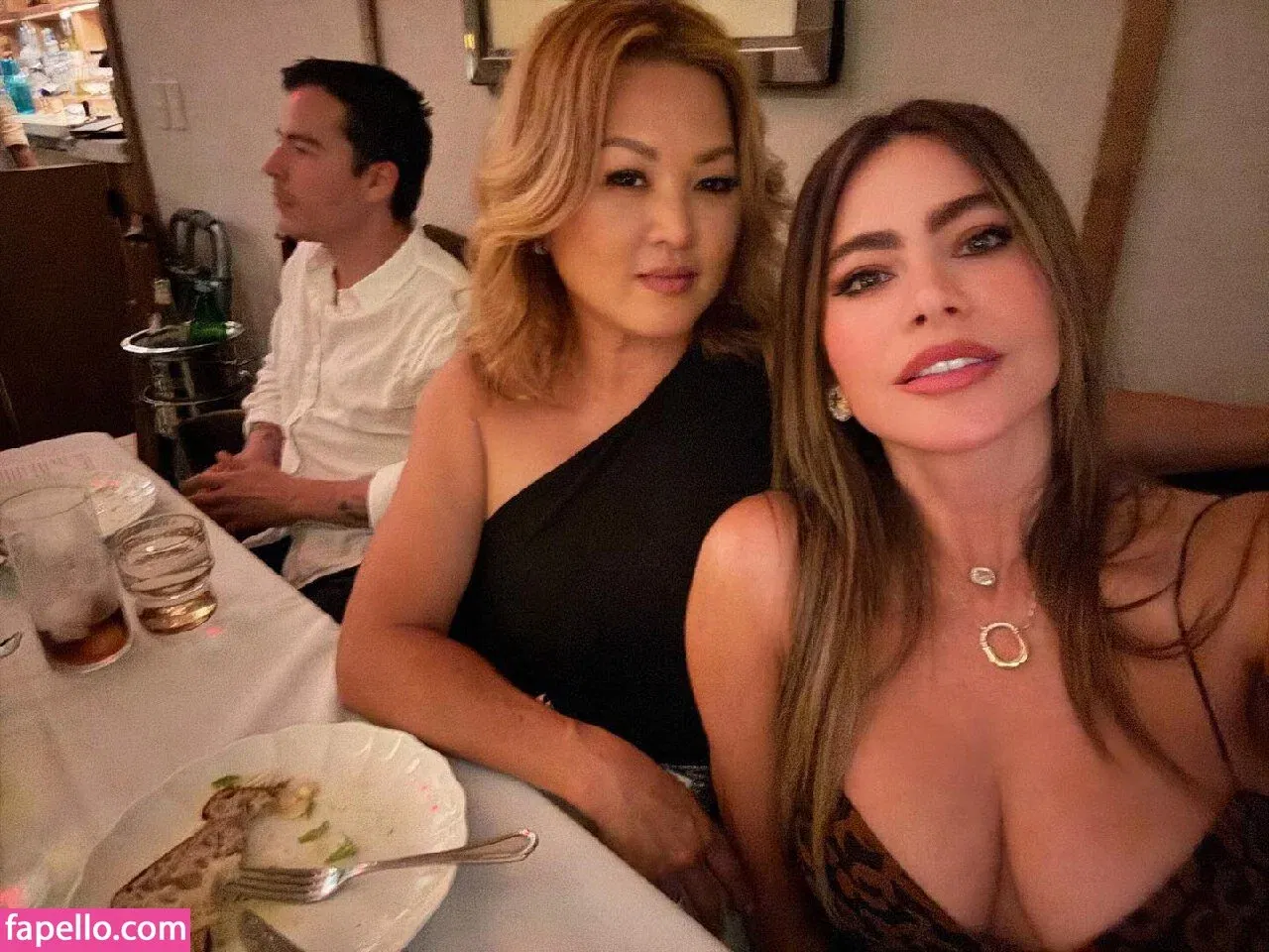 Sofia Vergara Onlyfans Photo Gallery 