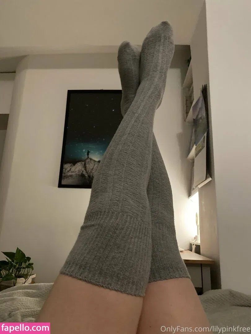 bustylily Onlyfans Photo Gallery 