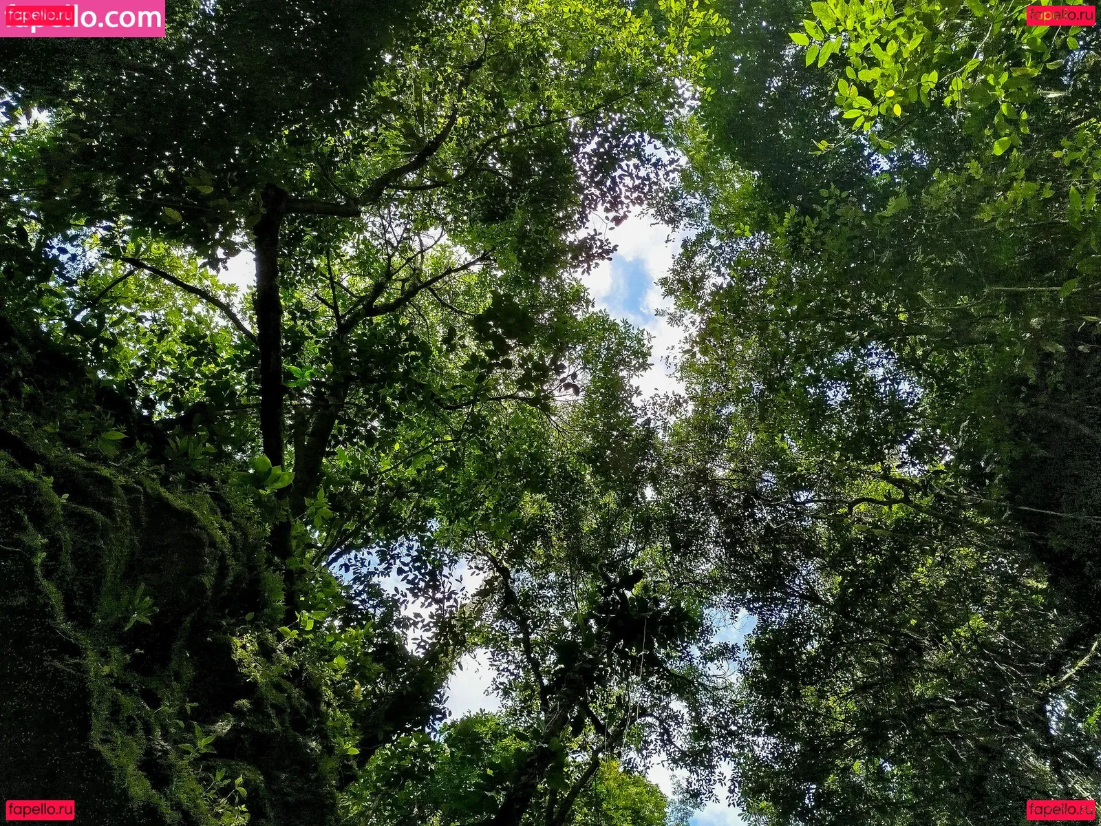 Officefacil Onlyfans Photo Gallery 