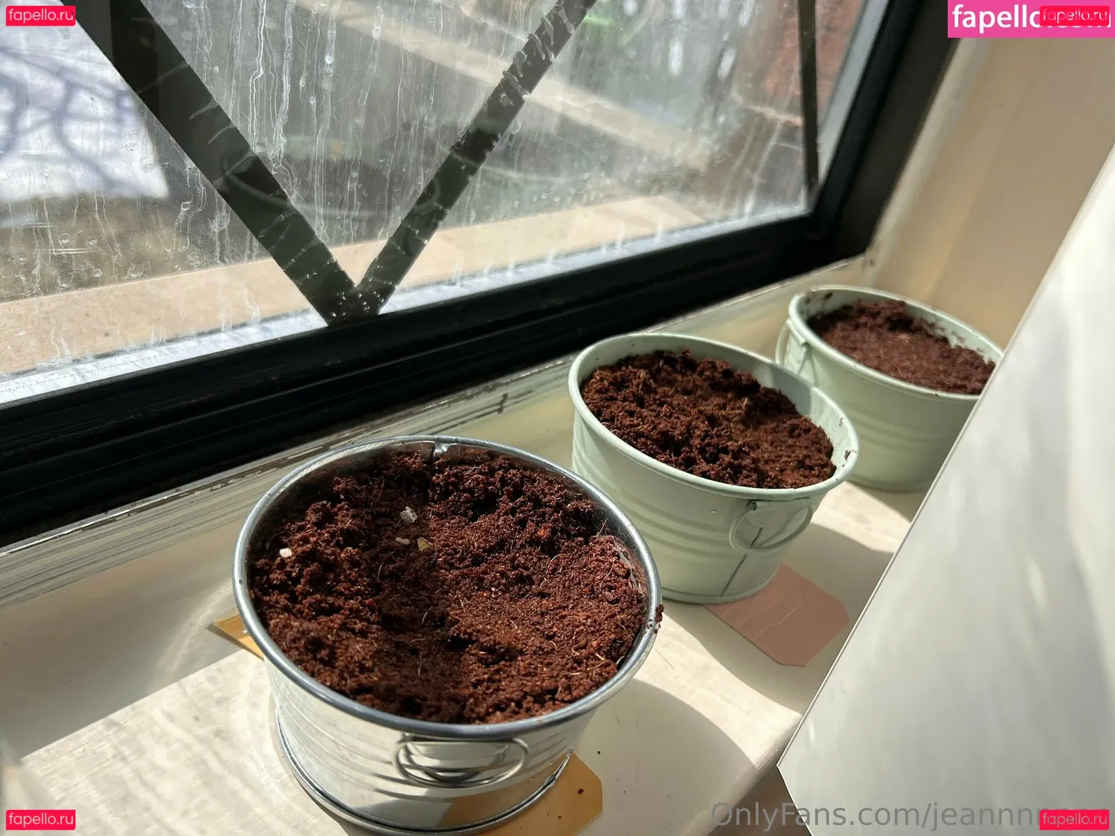 jeannnnnnn Onlyfans Photo Gallery 