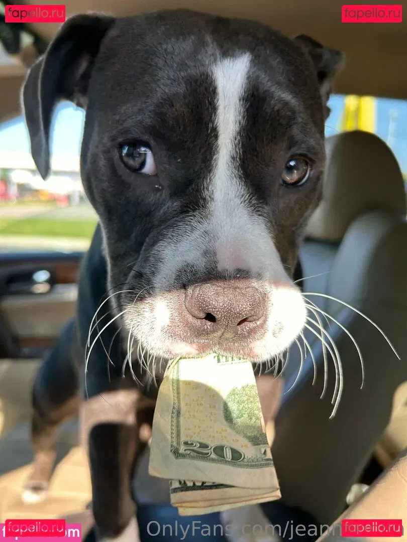 jeannnnnnn Onlyfans Photo Gallery 