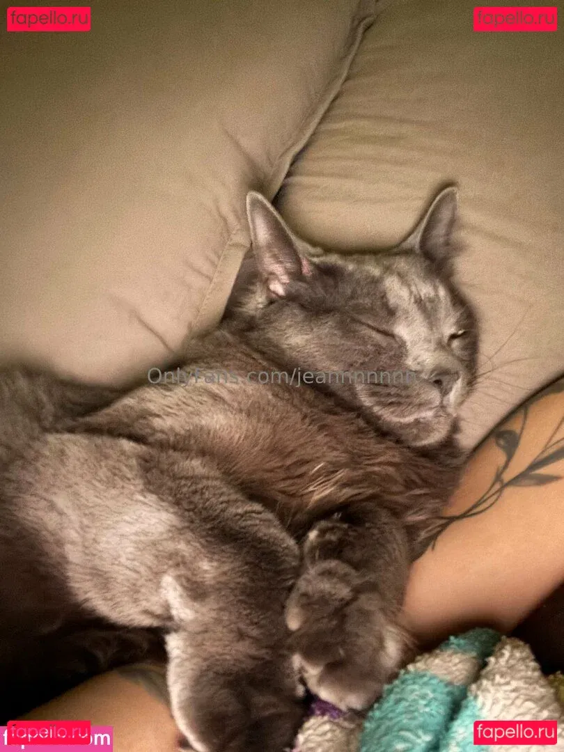 jeannnnnnn Onlyfans Photo Gallery 