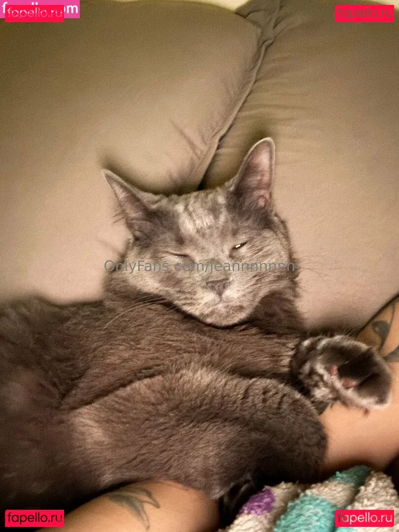 jeannnnnnn Onlyfans Photo Gallery 