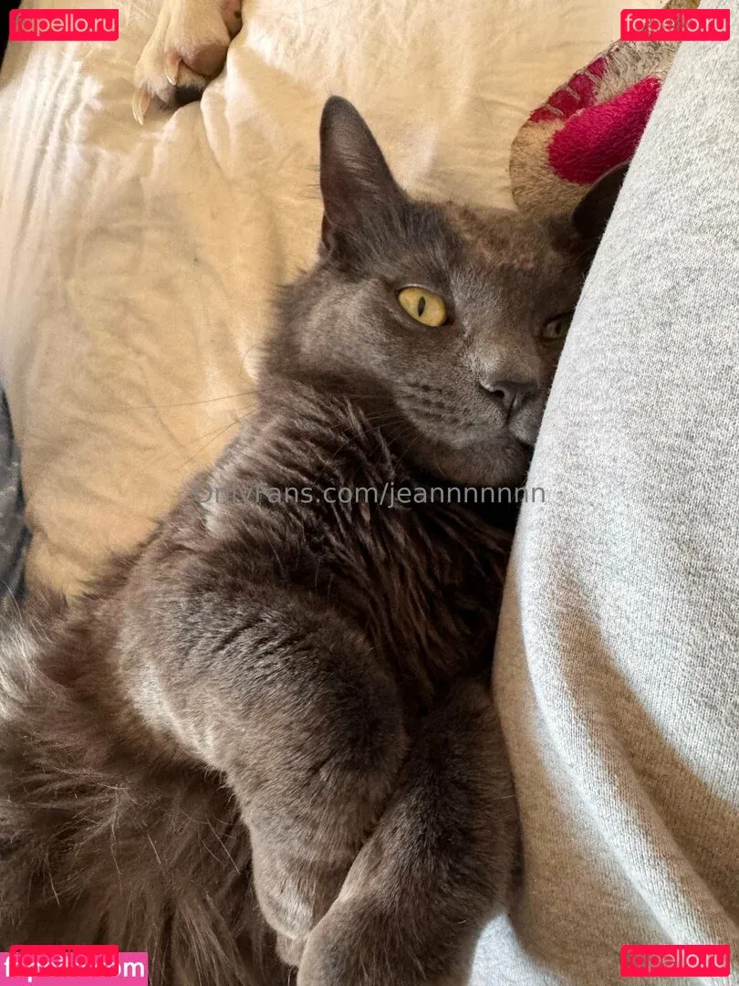 jeannnnnnn Onlyfans Photo Gallery 