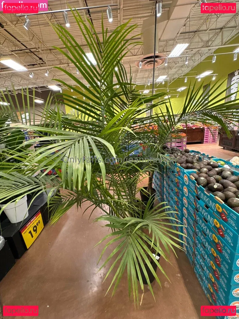 jeannnnnnn Onlyfans Photo Gallery 