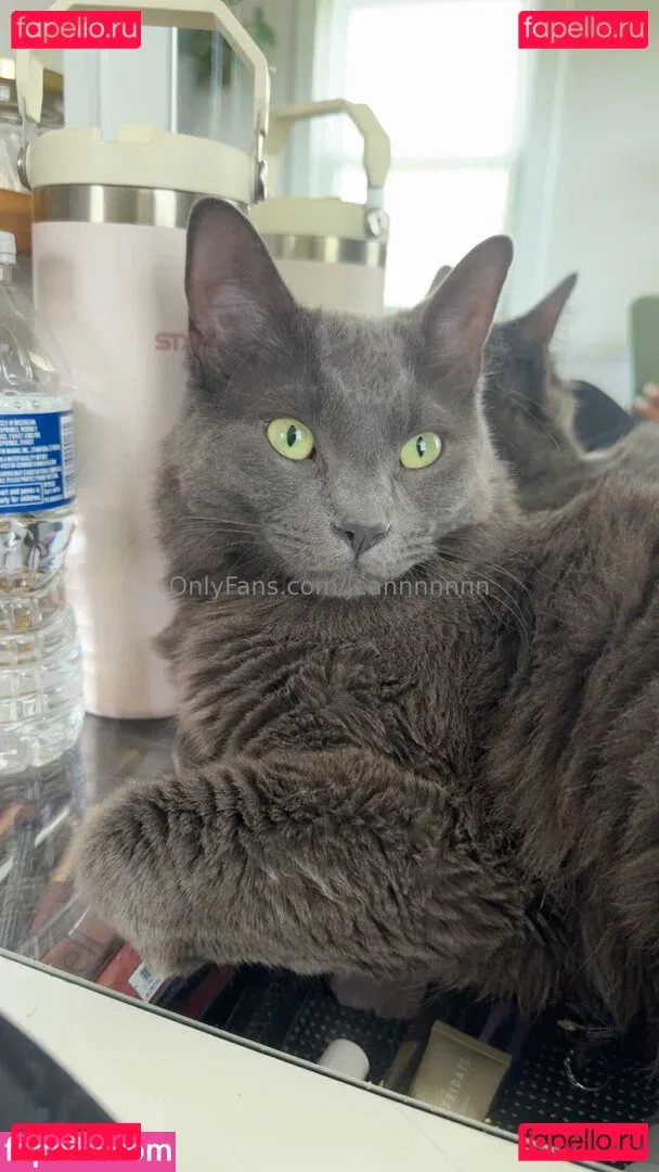 jeannnnnnn Onlyfans Photo Gallery 